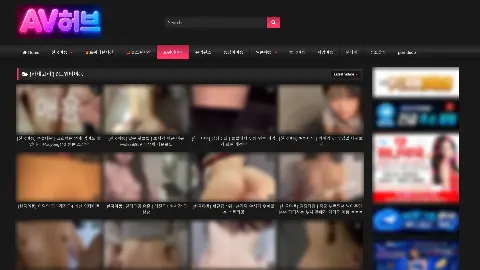AV허브 사이트 화면 4