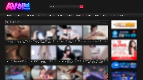 AV허브 사이트 화면 5
