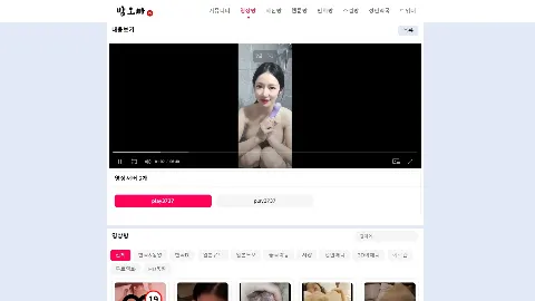 밤오빠 사이트 화면 2