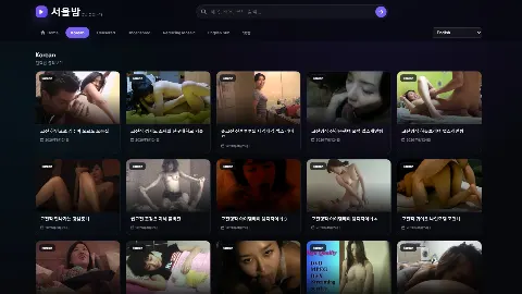 서울밤 사이트 화면 1
