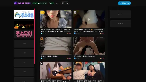 밤튜브 사이트 화면 3