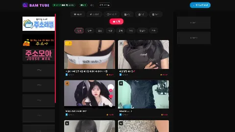 밤튜브 사이트 화면 2