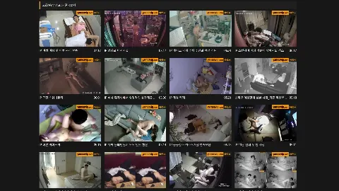 야모아 사이트 화면 3