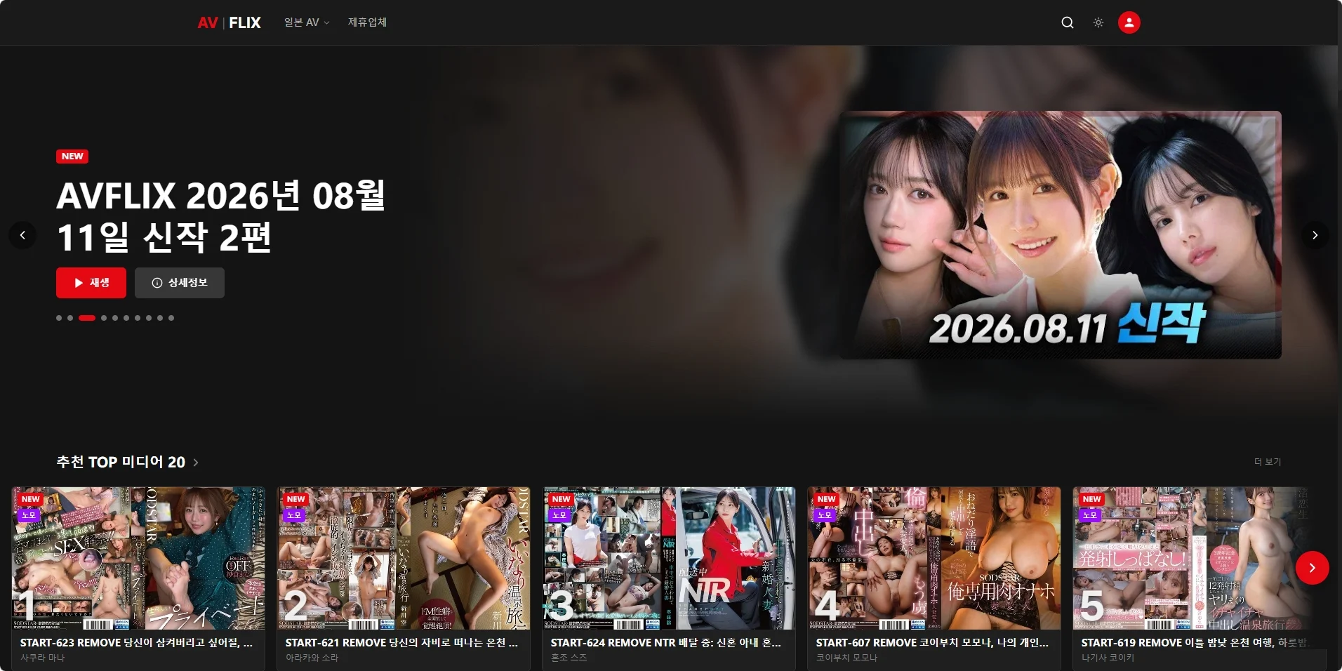 AV플릭스 미리보기