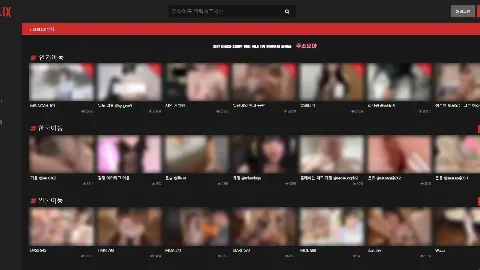 섹플릭스 사이트 화면 1