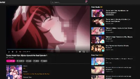 VidHentai 사이트 화면 5