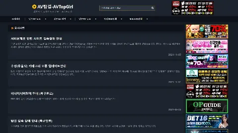 AV탑걸 사이트 화면 5