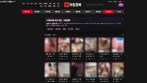야동정복 사이트 화면 3